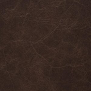 Berlin  Dark Wood