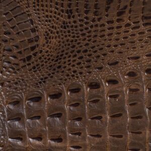Cocodrilo Brown