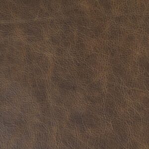 Euphoria Sepia