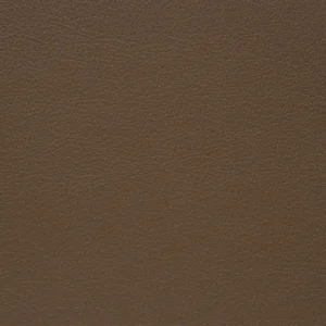Delta Pecan